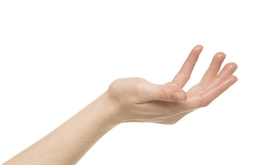 The hand holds something