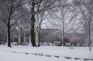 Courthouse in Winter