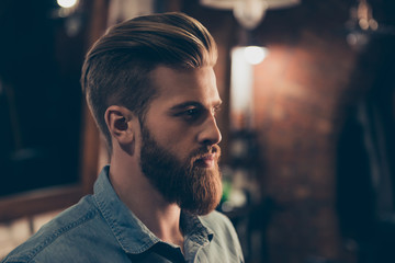 Barbershop concept. Profile side portrait of attractive severe brutal red bearded young guy. He has...