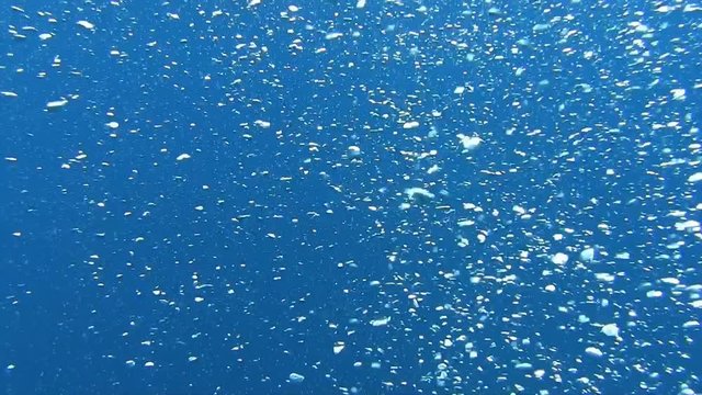 Divers bubbles in the blue sea