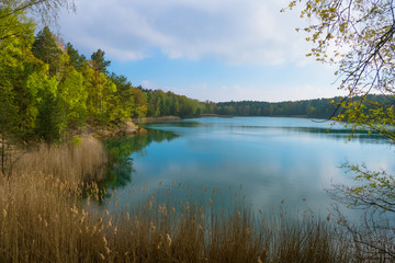 Beautiful lake of extraordinary color hidden in the forest. Water illuminated by the sun on a cheerful spring or summer day. Lake in the village of Łęknica in Poland.