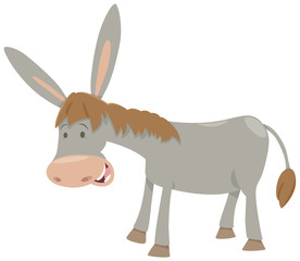 Fototapeta na wymiar donkey farm animal