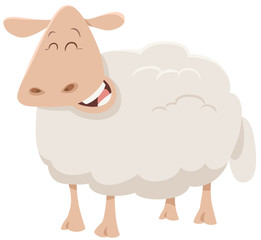 cartoon sheep animal character
