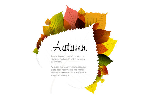 Autumn Leaves Card Layout 2