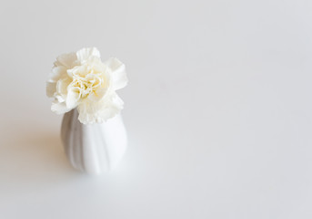 High angle view of single white carnation in small vase on table (selective focus)