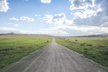 Fototapeta premium beautiful road with around green grass