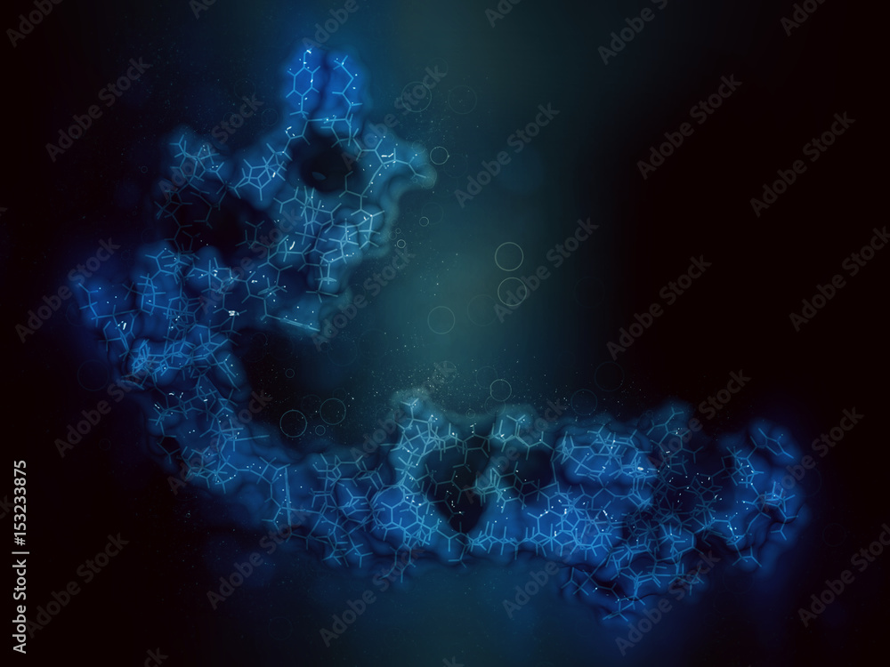 Canvas Prints Cystatin C (V57D mutant). Protein used as biomarker of kidney function. 3D rendering based on protein data bank entry 3sva.