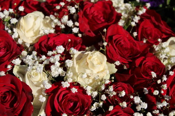 red and white bouquet