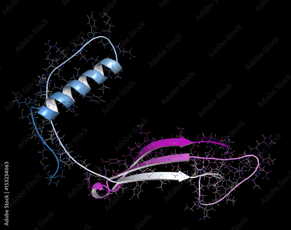 Canvas Prints Cystatin C (V57D mutant). Protein used as biomarker of kidney function. 3D rendering based on protein data bank entry 3sva.