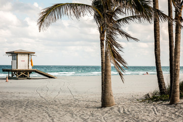 beautiful beach, palm trees 