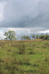 scotland hill sky foliage  near loch lomond