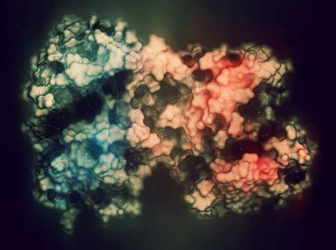 Lactoferrin protein. Lactoferrin is an iron-binding protein that is part of the innate immune system. It is involved in the binding and transport of iron ions but also has antimicrobial properties. 