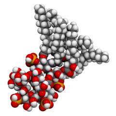 Lipopolysaccharide (LPS, lipid A and inner core fragment) endotoxin molecule from E. coli.