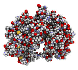 MEK1 or mitogen-activated protein kinase kinase 1 (rabbit) protein. MEK inhibitors are used in treatment of cancer and include cobimetinib and trametinib. 