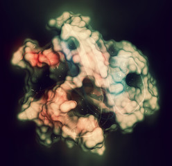 KRAS (Kirsten rat sarcoma viral oncogene homolog, fragment) protein. 3D rendering based on protein data bank entry 4obe. - obrazy, fototapety, plakaty