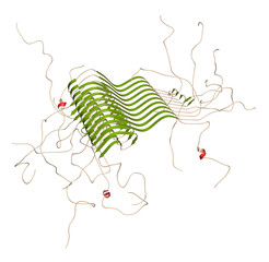 Alpha-synuclein fibril structure, determined by solid-state NMR. Thought to play a role in diseases including Parkinson's disease and dementia with Lewy bodies.