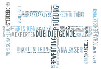 Due Diligence word cloud