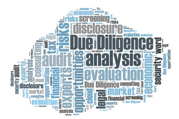 Obraz premium Due Diligence word cloud