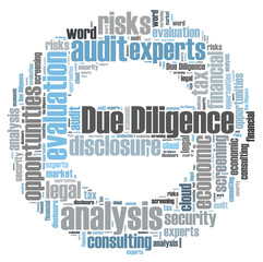 Due Diligence word cloud