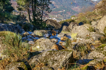 Serra da Estrela, Portugal 