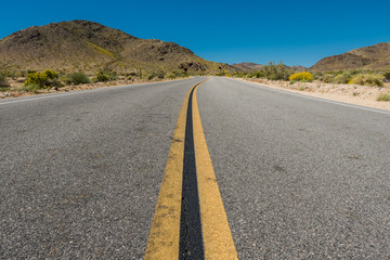Winding Road Through Desert Terrain