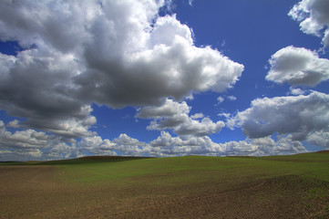 Spring Fields on the Palouse