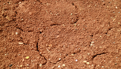 Dry soil for background or textures.