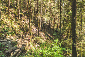 Baden Powell Trail near Quarry Rock at North Vancouver, BC, Canada