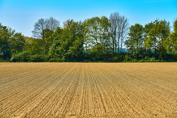 agricultural land. Agriculture farm field