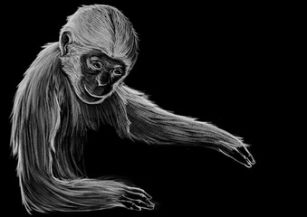 Monkey. Concept Illustration, Abstract Clip Art.
