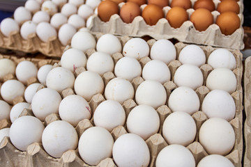 eggs market. fresh eggs