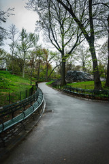 Early Spring Walking Path through Central Park, New York, USA