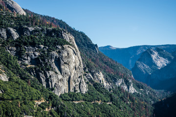 Fototapeta premium Mountain River in Yosemite National Park, California, USA