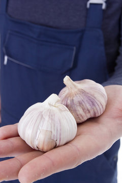 Garlic in hands