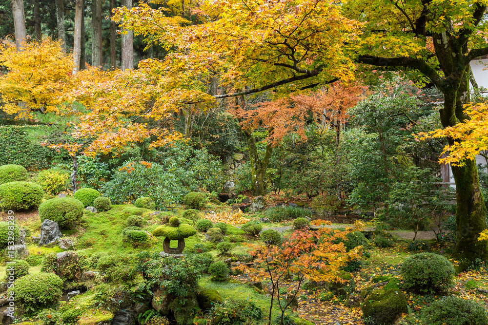 Sticker Japanese park with colourful maple tree