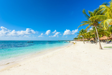Fototapeta na wymiar Akumal beach - paradise bay Beach in Quintana Roo, Mexico - caribbean coast