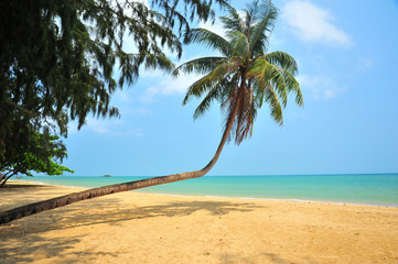 White Sand Beach on Tropical Islands 