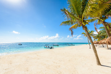 Fototapeta na wymiar Akumal beach - paradise bay Beach in Quintana Roo, Mexico - caribbean coast