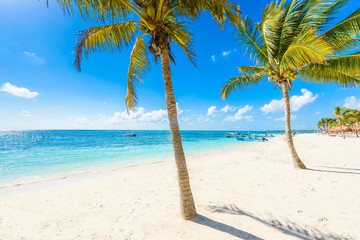 Obraz na płótnie Canvas Akumal beach - paradise bay Beach in Quintana Roo, Mexico - caribbean coast