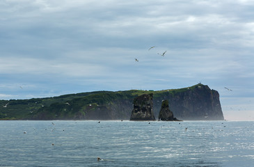 Bird market on sea stack Three brothers in Avacha Bay.