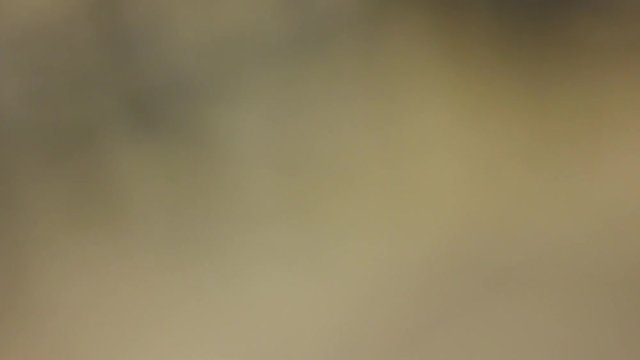 Electronic chip Macro shot Technology background
