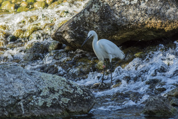 Lyon - Parc de la Tête d'Or.