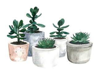 Watercolor flowerpots - 153322458