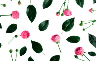 Pink roses on white background, flat lay