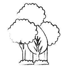 trees plants isolated icon vector illustration design