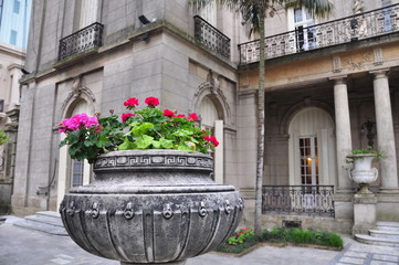 Flores en Montevideo antiguo