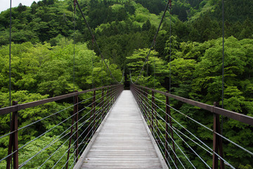Fototapeta na wymiar 新緑の吊り橋 suspension bridge
