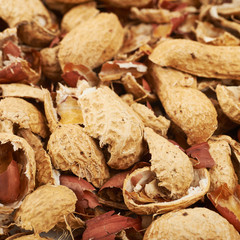 Surface coated with peanut shells