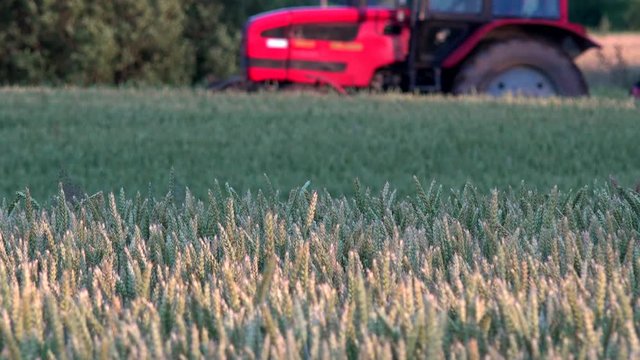 wheat rye ears and blurred tractor machine spraying field with chemicals