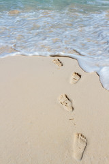 Footprints in the sand on the beach